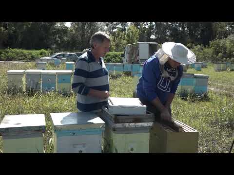 Naša priča 30.11.2018. NAJAVA