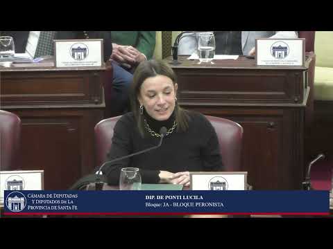 INTERVENCION DIPUTADA DE PONTI LUCILA - SESIÓN ORDINARIA Nº12 -PERIODO ORDINARIO 144º- 30/07/26