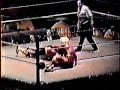 Ric Flair Vs Bret Hart