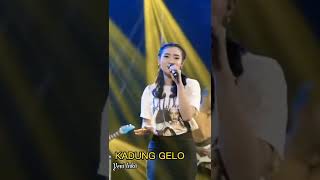 Download lagu Kadung Gelo Yeni Inka (Shorts)  #shorts #music #yeniinka mp3