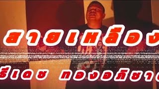สายเหลือง – ธีเดช ทองอภิชาติ