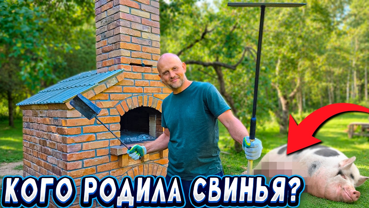 ЖИЗНЬ на настоящих ЛЕСНЫХ хуторах. Свинка обрадовала опоросом. Подготовка с?