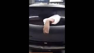 VOLKSWAGEN DAS AUTO MEME #SHORTS