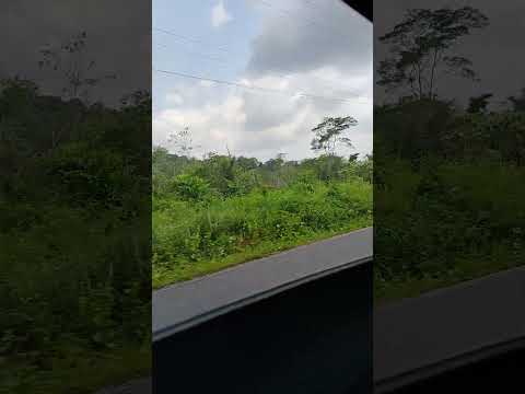 Santa Barbara do para