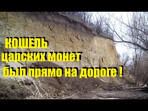 КОП 2019 Кошель царских монет был прямо на дороге