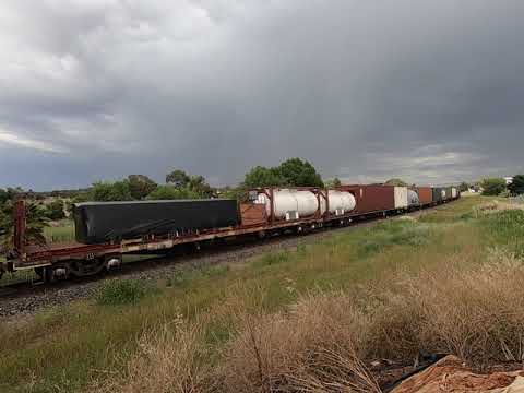 NR51, 49 & 120 at East Parkes NSW.  Thu 12th Nov 2020