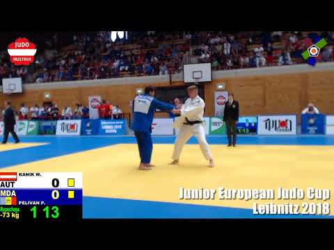 73 kg Repechage: KANIK, Wojciech (AUT) vs. PELIVAN, Petru (MDA)