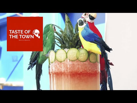 Taste of the Town Las Vegas Pools Part 1 VIDEO