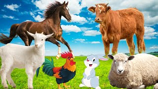Download Lagu Cute little animals - Cow, Horse, Rabbit, Chicken, Goat - Animal Sounds Thumbnail