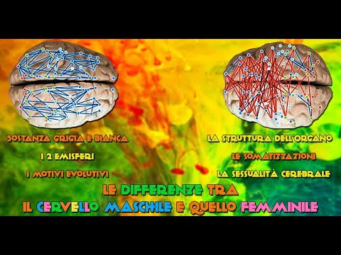 Le Differenze tra il Cervello Maschile e quello Femminile