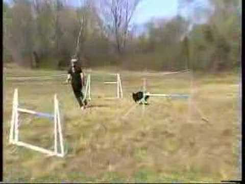 Insieme par l'isonz 2008 (1° parte)