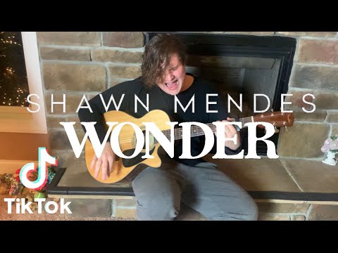 Wonder - Shawn Mendes (TikTok Cover by Vincent Fondale)