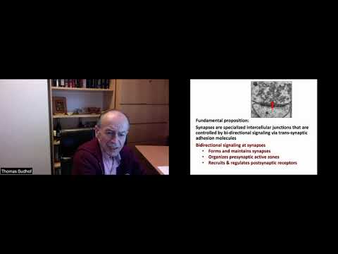 Thomas Südhof at GYSS 2021 - Synapse Formation in Neuropsychiatric and Neurodegenerative Diseases