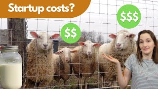 Dairy Sheep Startup Costs: How Much Does It Really Cost?