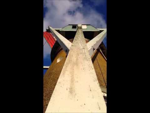 de zeldenrust en pulderbos