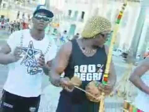 Dog Murras na Bahia VDownloader