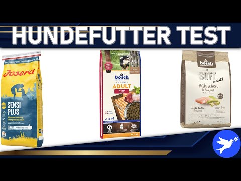 ᐅ Hundefutter Test 2025 | Die besten Hundefutter vorgestellt