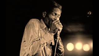 Johnny Shines &amp; Big Walter Horton-Till I Made My Tonsils Sore