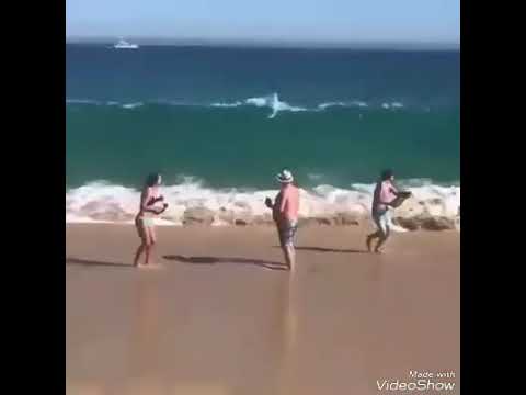 Videos muy muy chistosos en la PLAYA😎CAÍDAS Y REVOLCONES#5