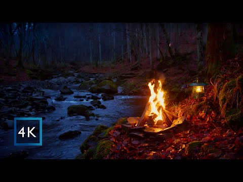 4K Campfire above the river on a dark rainy night | Relaxing nature sounds | Authentic video