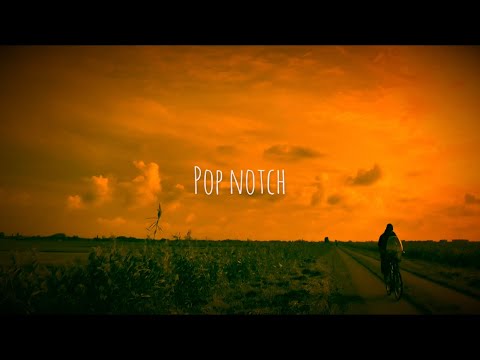 Flip Capella, Otray & Vinze - Going Crazy (Feat. Ashley Jana)