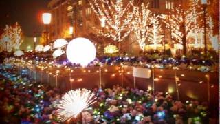 Holiday Season In Tokyo