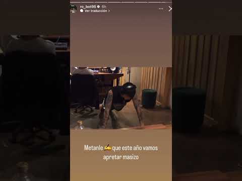 4 Paredes - Dani Torres Ft Robot95  (Preview) 🐐🤖 🌏🇲🇽🇻🇪