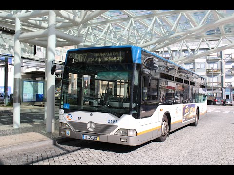 2156 STCP - Mercedes-Benz O530 Salvador Caetano CityGold MB 2KD - Linha / Line 907