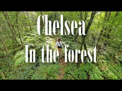 Stephen Johnson Photography video.