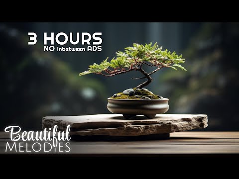Healing Inner anger and Sorrow Removal, Ultra Relaxing Music for Stress and anxiety