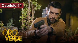 Oro Verde - EP14 - ¿Amor o venganza? - Serie completa en español - HD