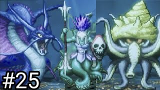シリーズ屈指の難易度と言われる神ゲー『ドラゴンクエストII』#25
