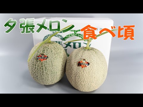 夕張メロンの食べ頃