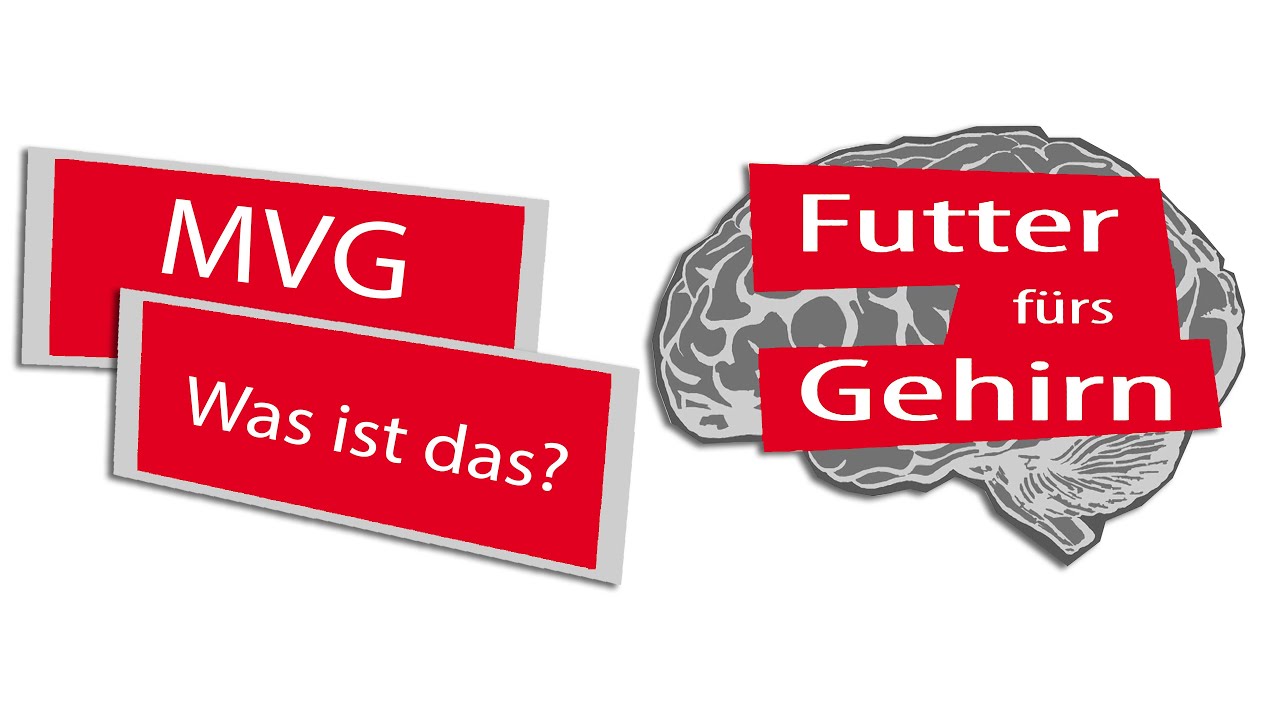 Räder der Mainzer Mobilität (MVG) | Futter fürs Gehirn