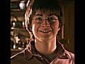 Harry Potter Is Simply Well Loved Harrypotter Series Movie