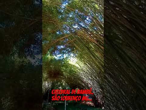 CATEDRAL DE BAMBÚ., SÃO LOURENÇO MG... inscreva-se..