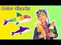 Color Sharks And More SUPER SHARK WEEK SONGS Mother Goose Club Songs For Children