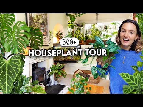 300+ Houseplant Tour 🌿 2025 Plant Collection Home Tour (Rare and Common) 🌱 PART 1
