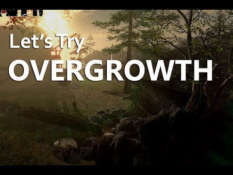 Let's Play Overgrowth (Kung Fu Rabbit Combat) One-Shot