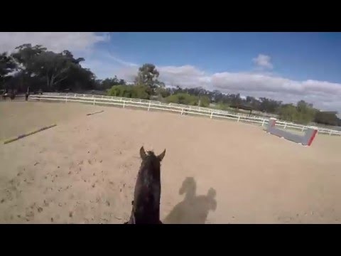four day show jumping clinic / part 1 GoPro hero4