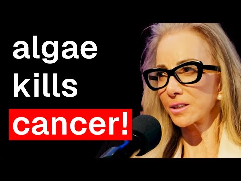 Spirulina vs. Chlorella: Boost Your HEALTH and Stop AGING with Algae Supplements