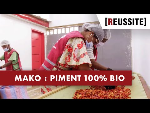, title : 'MAKO : LE PIMENT 100% BIO - RÉUSSITE (03/11/20)'