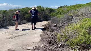 Coast walk in Royal National Park