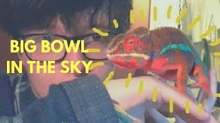 Big Bowl in the Sky - Cavetown / Subtitulado al Español