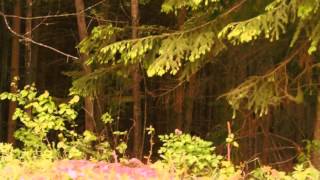 PACO SALA - Square Jaw / LGO (Preview from Der Gast LSSN033)