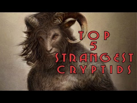 5 Strange Mysterious Creatures And Cryptids