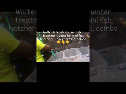 Water filteration cum water treatment plant for mini fish hatchery ~ bio & chemical combo 👇👇👇