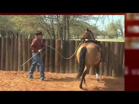 The Ultimate Method by Clinton Anderson