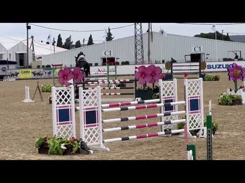 CSI1* Sunshine Tour  ~ Clear round for this beautiful stallion 👌 11/mar/2022