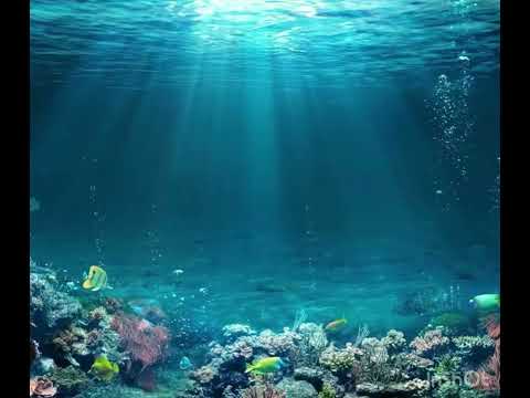 Chiara Cagnoli-13